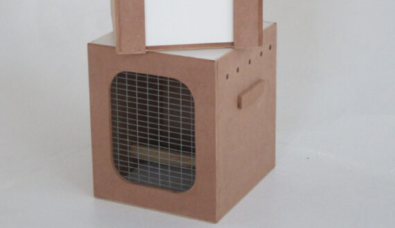 ANIMAL WOODEN PRODUCTS