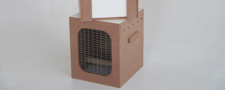 ANIMAL WOODEN PRODUCTS